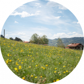 Umgebungsimpressionen