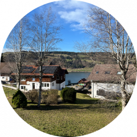 Blick auf den großen Alpsee vom Balkon aus